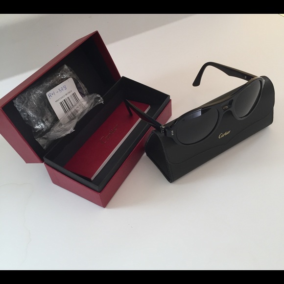 Vintage Cartier Sunglasses T8200819 Mint Condition - Picture 5 of 8